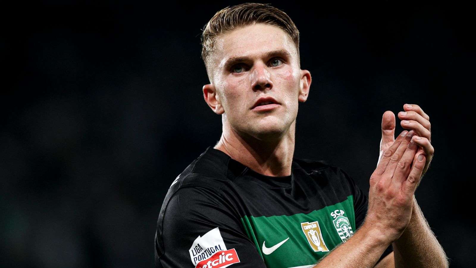 这不仅是对 这不仅是对