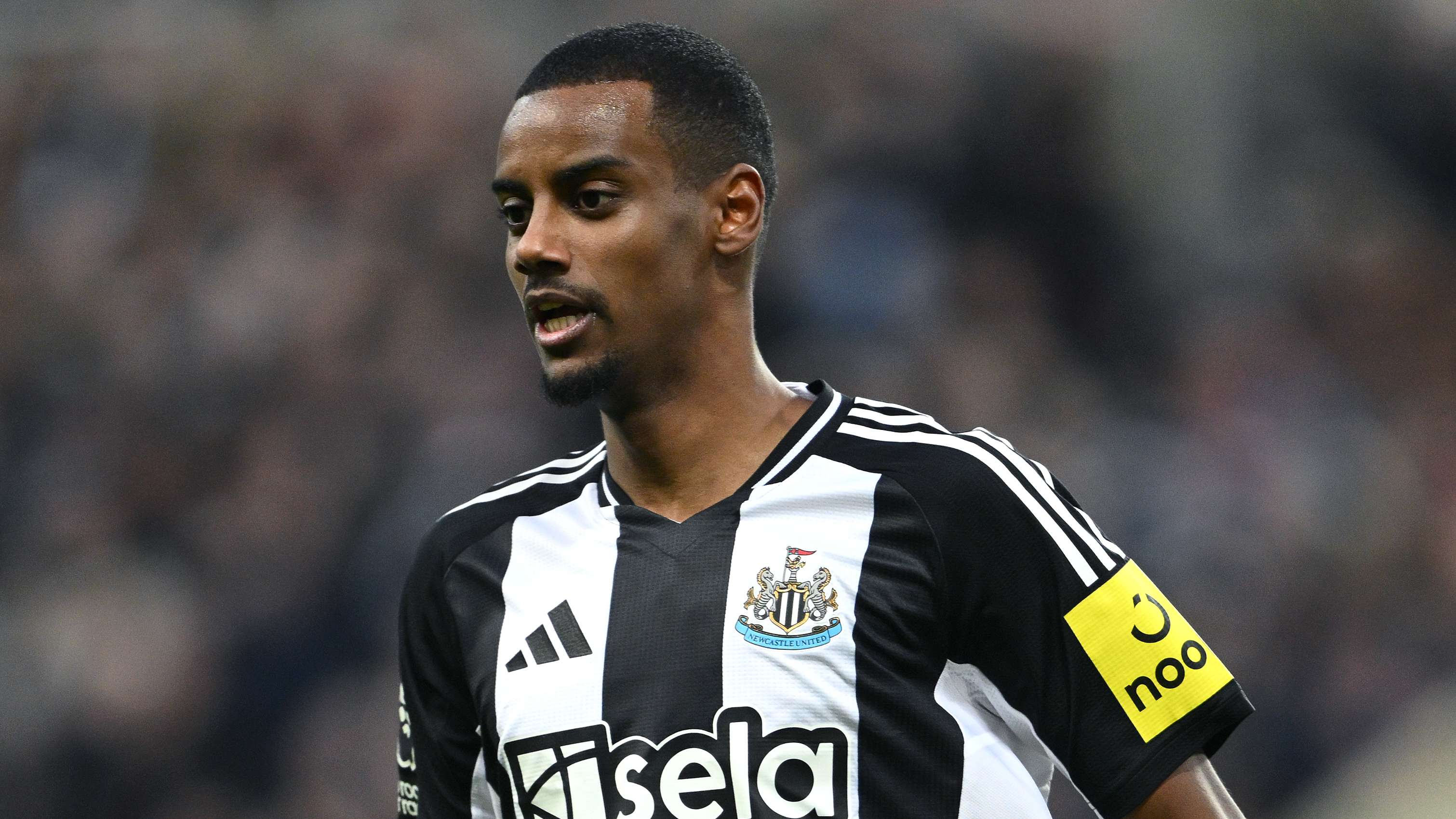 也更加丰富 也更加丰富