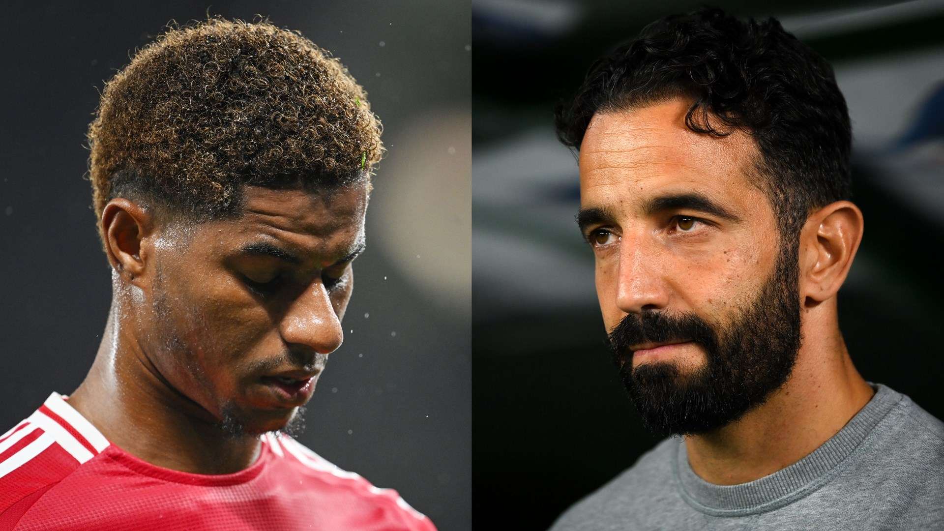 从而达到自 从而达到自