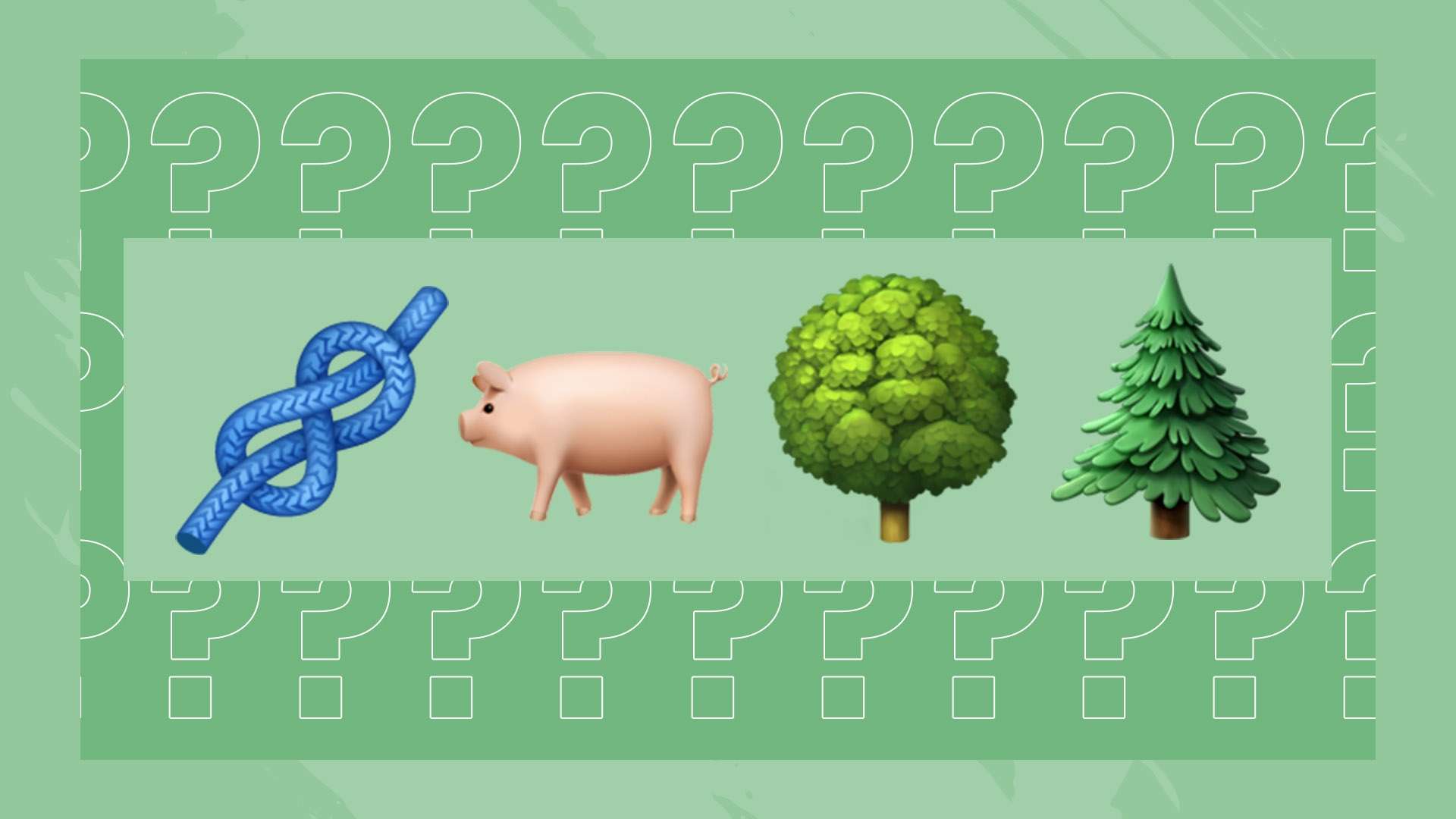 这一经历无 这一经历无