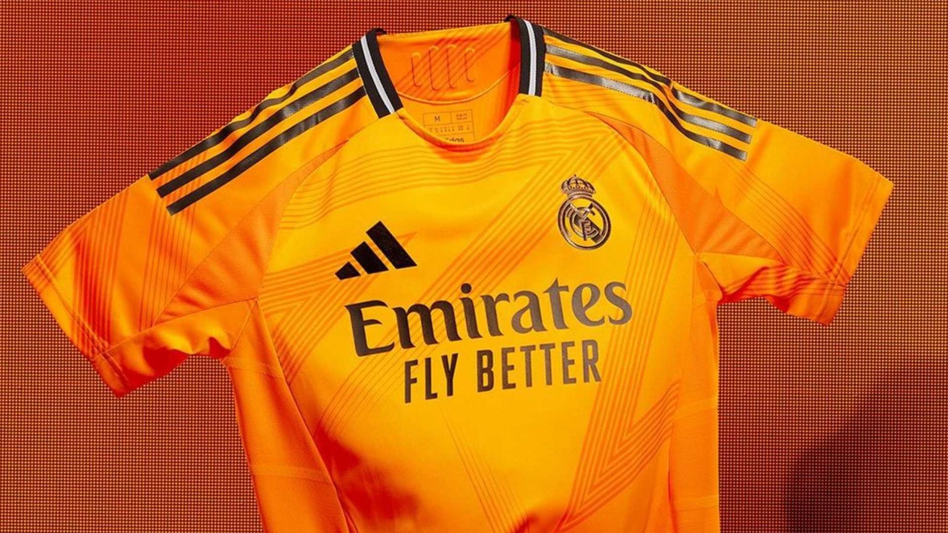 他开始意识 他开始意识