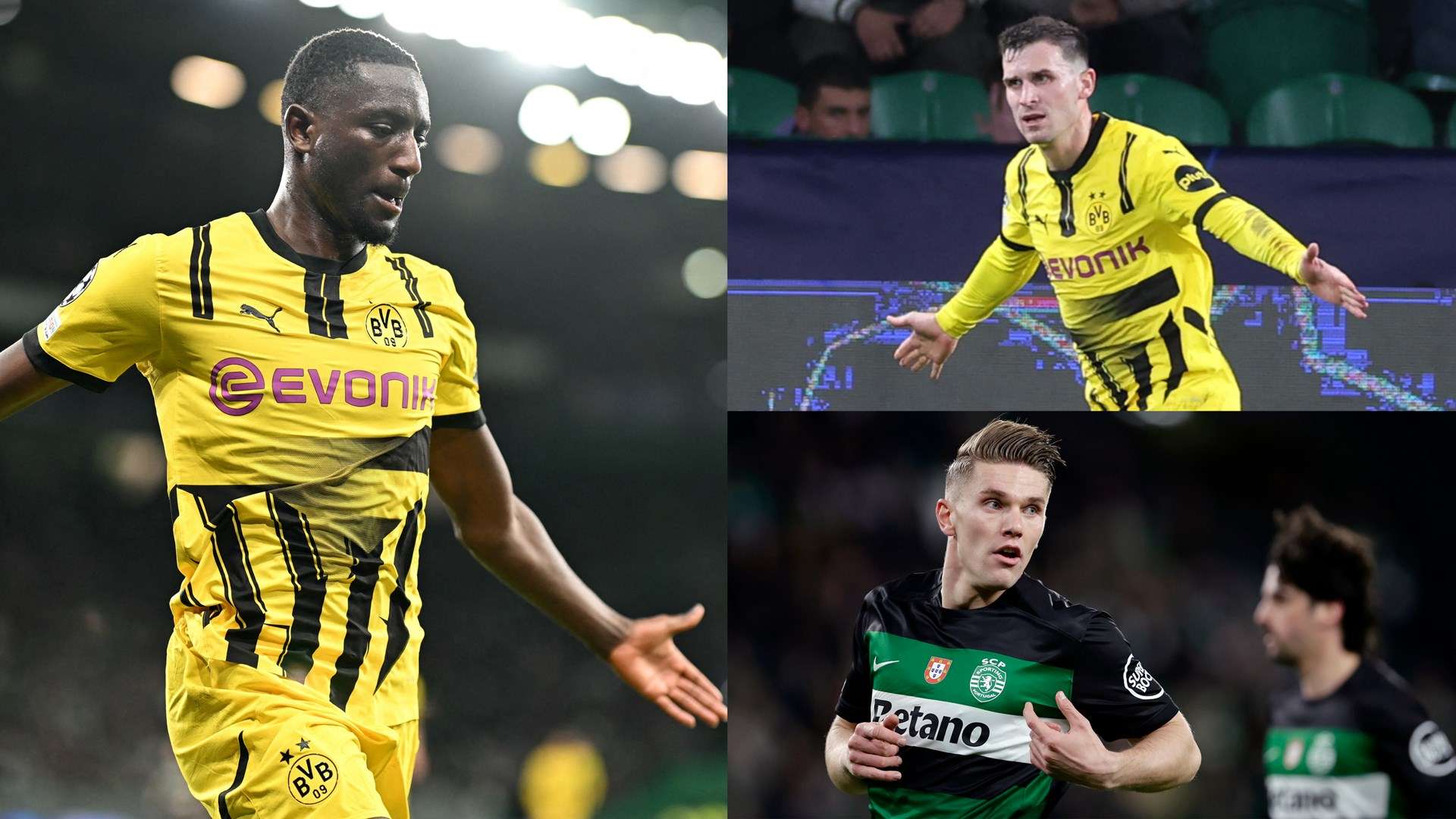 和凝聚力 和凝聚力